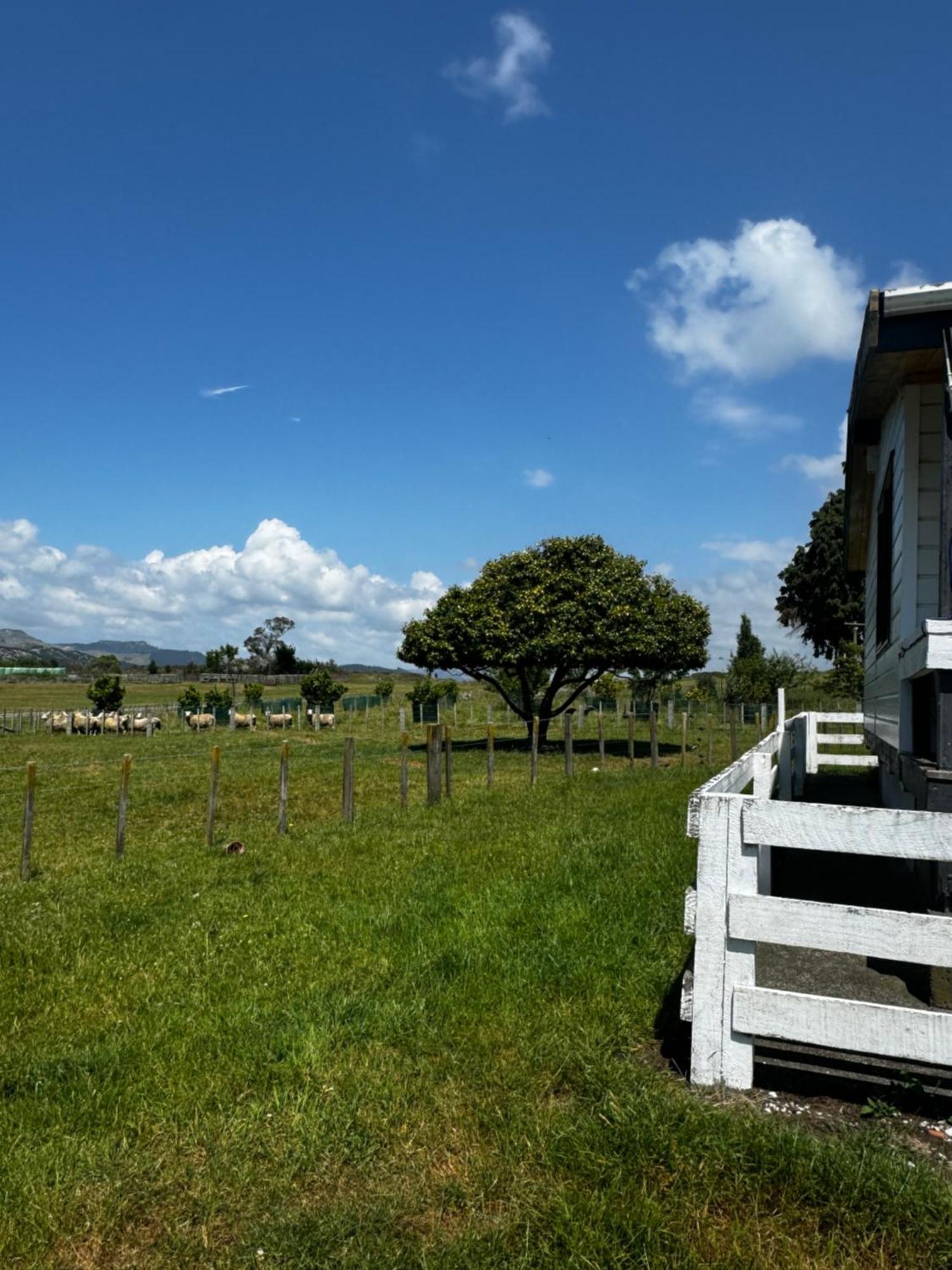 Lockwood Country House Retreat Putorino Exterior foto